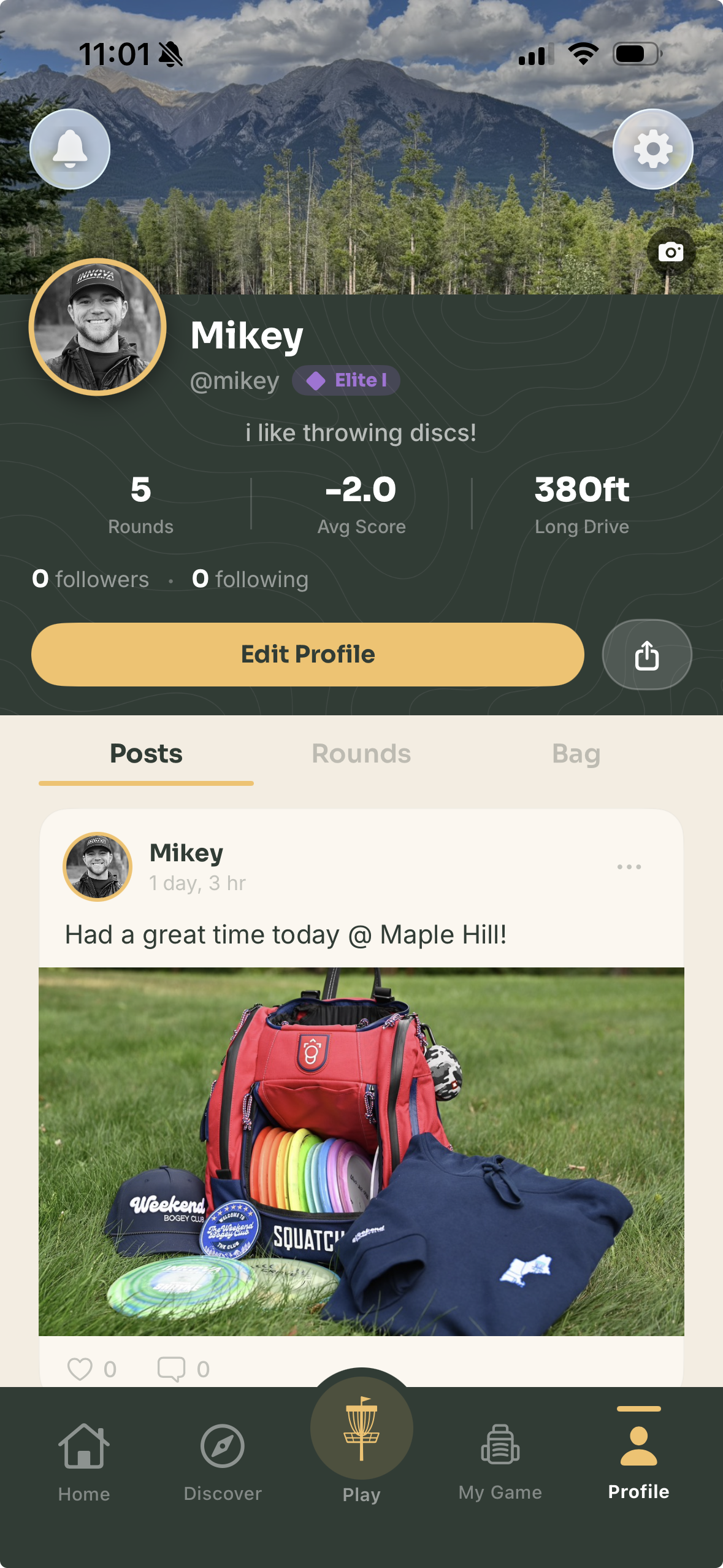 Player profile